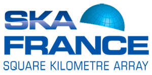 logo-skafrance.png